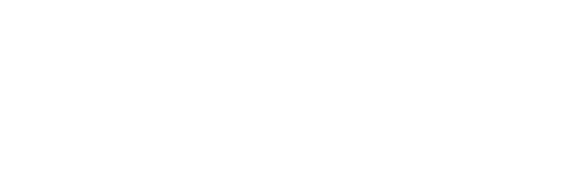 logo-sandukinn-bw